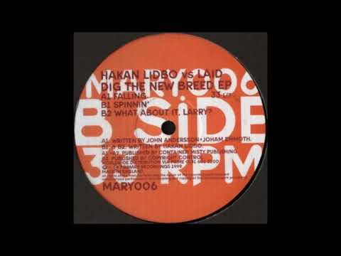 Hakan Lidbo - Spinnin'