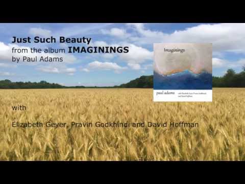 Paul Adams - Just Such Beauty