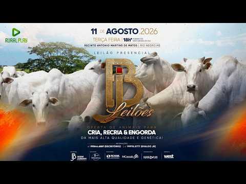 LEILÃO PRESENCIAL BJ LEILÕES - RIO NEGRO/MS - RURAL PLAY