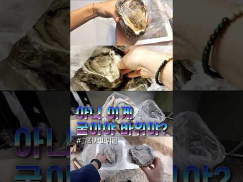 왕크니까 왕맛있다! #거제바위굴