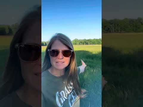 Questions on Grass Management - Part 1