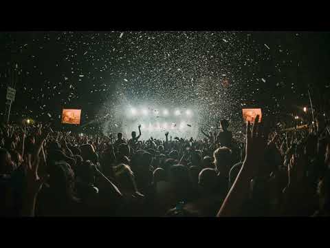 Fred Again.. & Animal Picnic + 19:26 - Jungle XX [Hoax (BE) Revise]