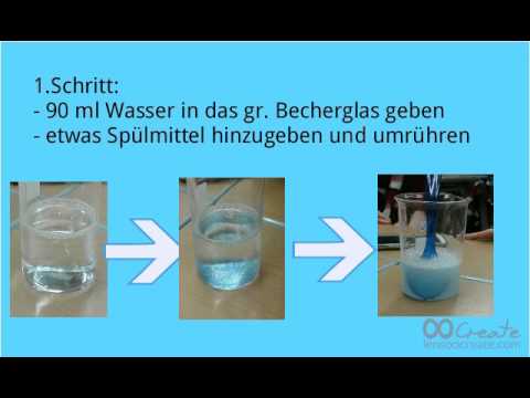 DNA-Extraktion selbstgemacht