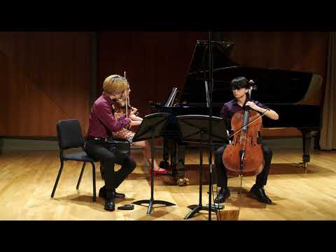 Brahms Piano Trio No. 1 in B Major, 3rd mvt. | Trio Tokava