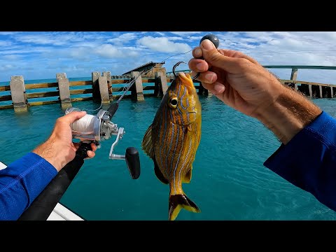 Multi-Species Bridge Fishing The Florida keys - Catch, Clean, Cook On The Water Snapper Snack