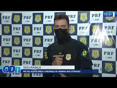 PRF faz alerta para a presença de animais nas estradas 28 01 2022