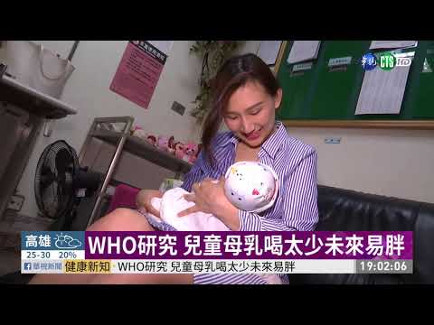 WHO研究 兒童母乳喝太少未來易胖