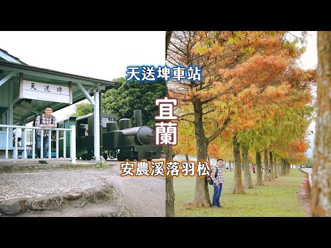 ¡El fin de Yilan está claro! Puede viajar en un automóvil público para una excursión de un día, explorar los colores cambiantes de los pinos caídos a lo largo del río Anrong y encontrar emocionantes instalaciones para divertirse y jugar.