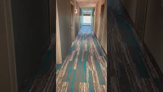 First Look: Room 229 at Home2 Suites | Jacksonville, FL Hotel Near Cruise Port #hilton      #solo