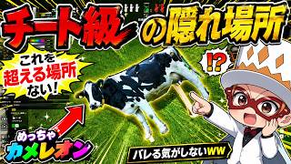 もう反則級…チートみたいな隠れ場所見つけたｗ #mecchachameleon #めっちゃカメレオン