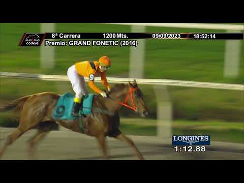 230909 c08 POTENCIA BRUTA (ARG)