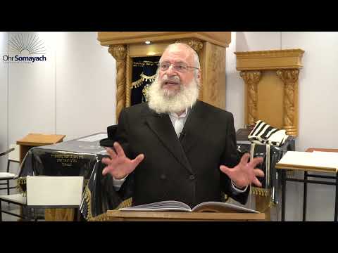 Part 2 - Ohr Somayach Yarchei Kallah - Shlichus B'Mitzvos | Shiur by Harav Asher Weiss Shlita | 5784