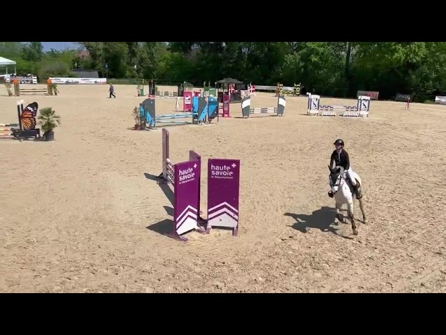 PONEY DE SPORT CSO 12ans