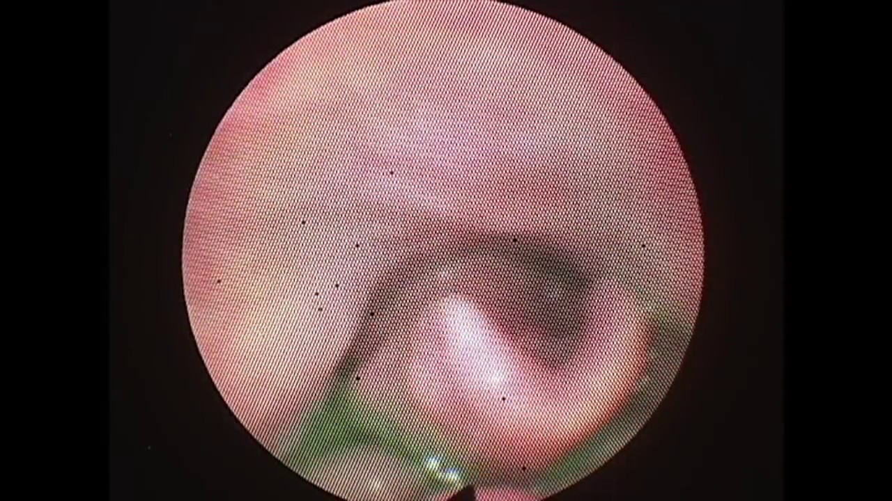 Joaquín Archibaldo Hope Guerrero-14