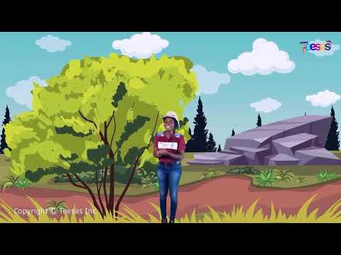 Learning ‘A’, ‘An’, & ‘The’! Fun Guide to Articles for Kids