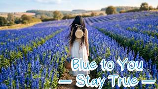 Blue to You  — Stay True —