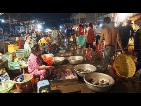 Cambodia Early Morning Fish Market - Activities of Vendors & Buyer Selling Fish & Seafood in Town