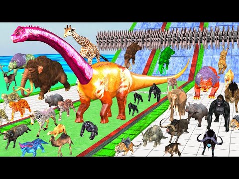 Which Animal vs Dinosaurs Be Fast and Run Away|Animals Doodle TV|Animal Revolt Battle|5.0