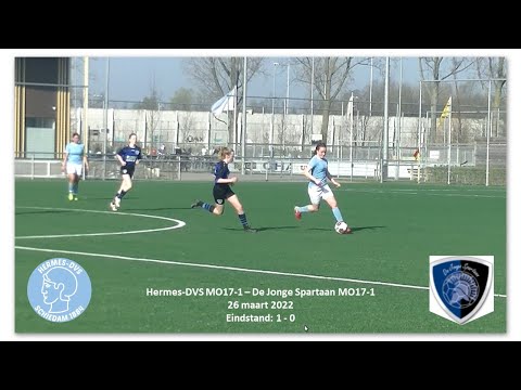 Samenvatting Hermes-DVS MO17-1 - De Jonge Spartaan MO17-1