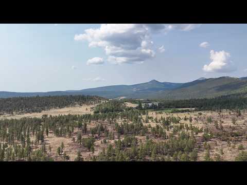 Wild Vermejo | Preserving 300,000 acres of ponderosa pine forest