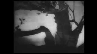 AMAR ( 1954) -1 - INSAAF KA MANDIR HAI YE -RAFI - YouTube