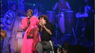 Sharon Ferguson - My Discarded Men