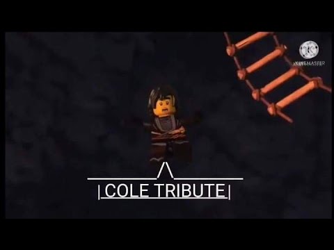 LEGO NINJAGO || Cole tribute, Fighter (The Score)