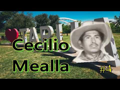 CECILIO SAPITO MEALLA TONADA #4
