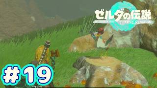＃１９　コッコのお告げ【ゼルダの伝説～ティアーズ オブ ザ キングダム～】