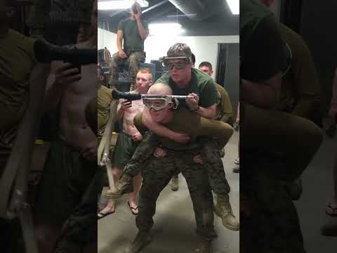 It's all fun and games until the drill sergeant walks in! 😂