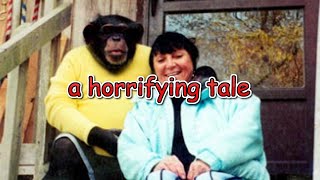 Monkey Business: Travis the Chimp