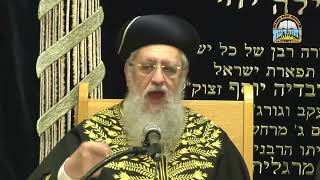 האם מותר לקרוא בספר תורה פסול I מרן הראשון לציון הגאון רבי דוד יוסף שליט＂א אדר תשפ"ו (רבנים שונים) - התמונה מוצגת ישירות מתוך אתר האינטרנט יוטיוב. זכויות היוצרים בתמונה שייכות ליוצרה. קישור קרדיט למקור התוכן נמצא בתוך דף הסרטון