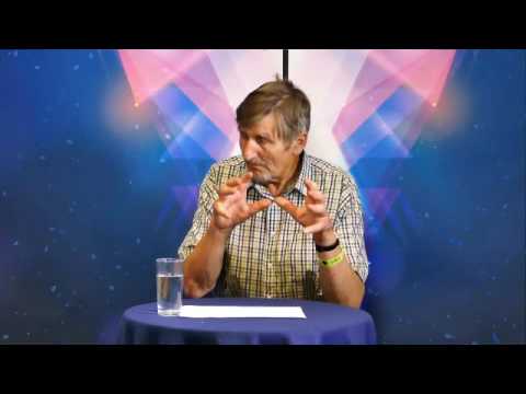 ELECTRIC UNIVERSE THEORY