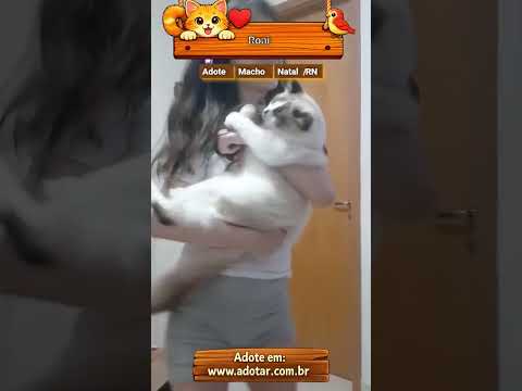 Vídeo de Roni