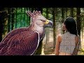 5 Animals Made Extinct By Humans