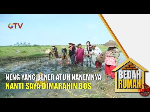Mau Diusir Gara-gara Nanem Padi Nggak Bener | Bedah Rumah | Eps.254 | (1/4)