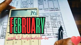 weekly budget check-in (Feb 8-14) how to reset weekly (budget 02/15-21)