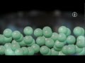 FWU Teilchenmodell Und Aggregatzustände