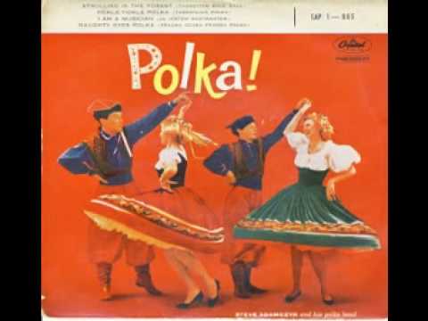 Steve Adamczyk - Ja Jestem Musikantem