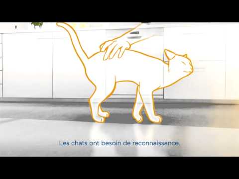 comment soulager calculs biliaires