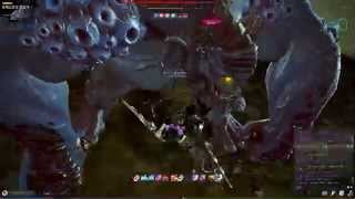 검벨라 메르랑 놀기