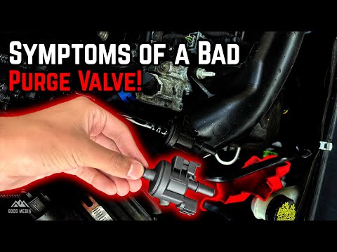 Signs & Symptoms of a Bad Purge Valve! (EVAP Purge Solenoid OR Canister Purge Valve)