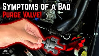 Signs & Symptoms of a Bad Purge Valve! (EVAP Purge Solenoid OR Canister Purge Valve)