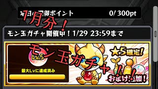 今月もモン玉レベル5引いてきた！