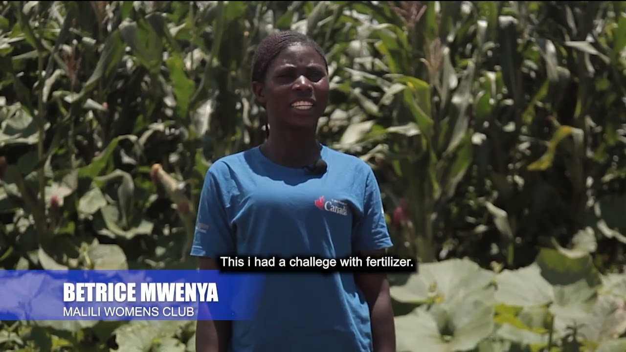 Farmer groups responding to Climate with Nature-based Solutions in Chikankata