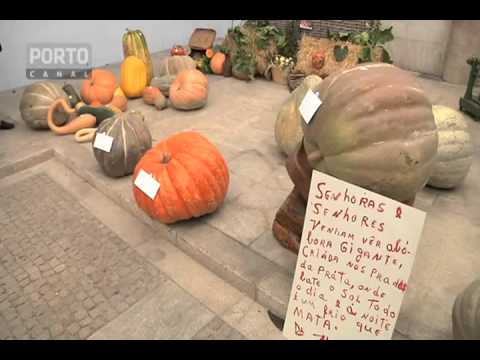 I CONCURSO ABOBORAS (2011)