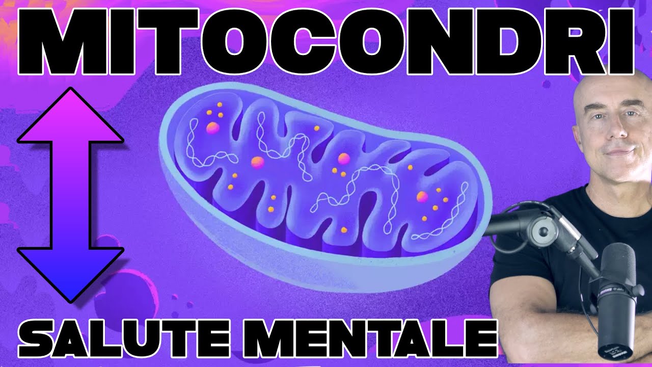 Medicina Mitocondriale e Salute Mentale | Funzionamento dei mitocondri e Disturbi Affettivi