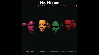 MR. MISTER - Partners In Crime
