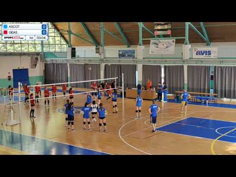 🏐 Allieve Bianche - Geas