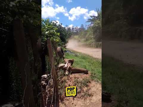 Moradores de Capoeirão denunciam excesso de poeira e pedem melhorias na estrada em São Tiago